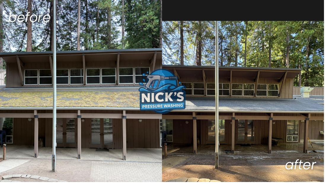 Before and after cleaning of a building roof and exterior under heavy tree cover