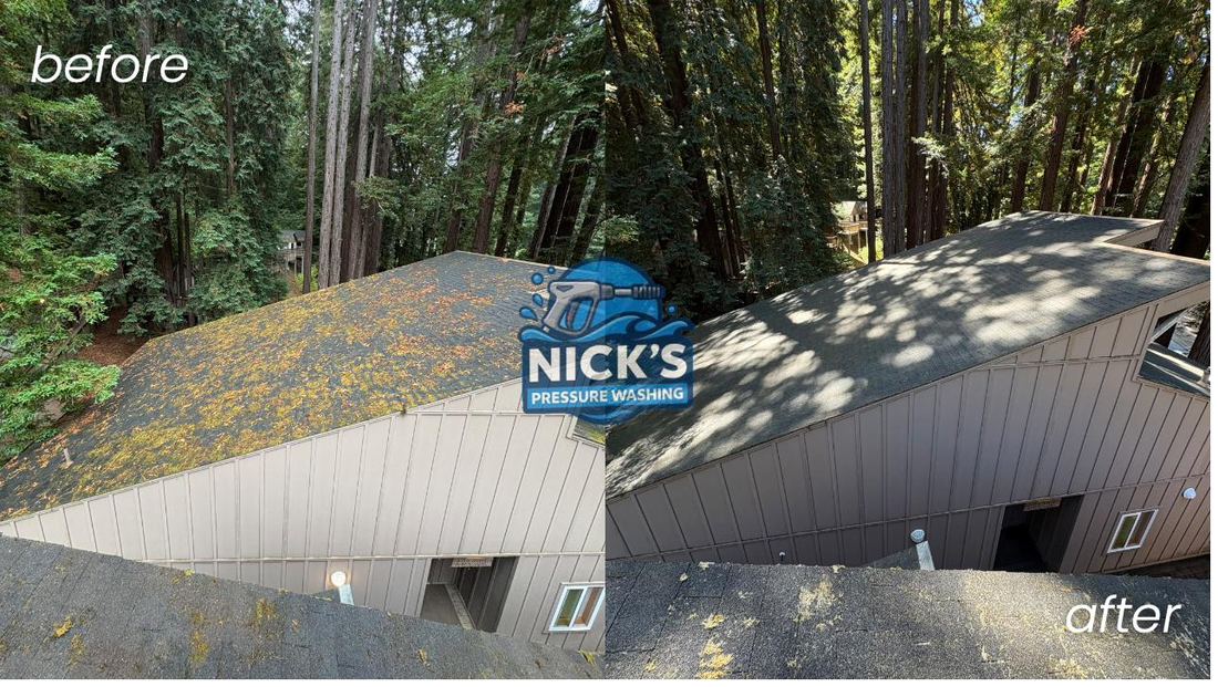 Before and after soft wash roof cleaning on a home surrounded by redwoods