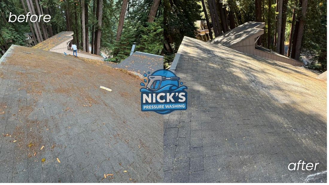 Before and after removal of moss and pine debris from an asphalt shingle roof